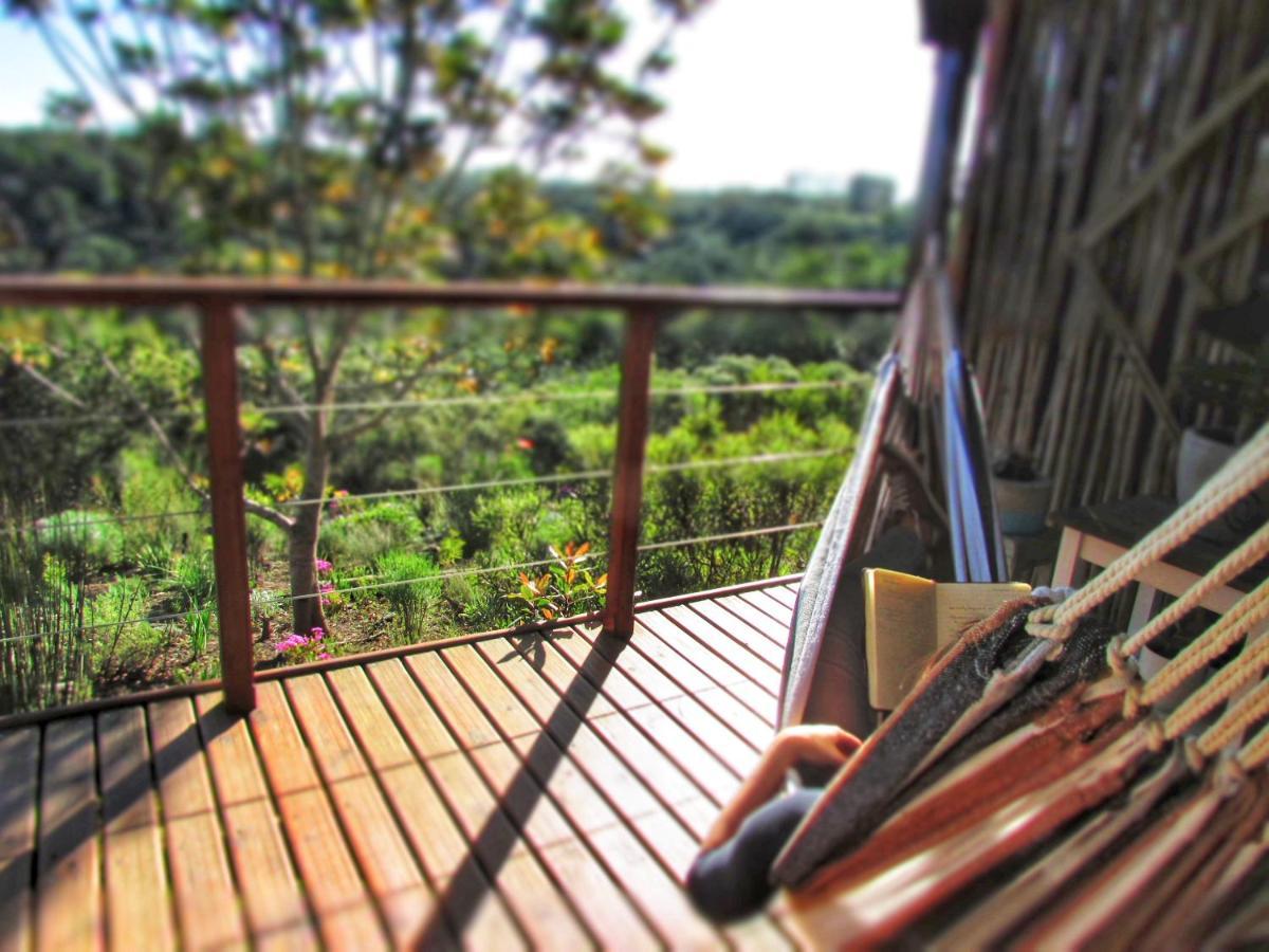Hotel Woodlands Self Catering Knysna Esterno foto