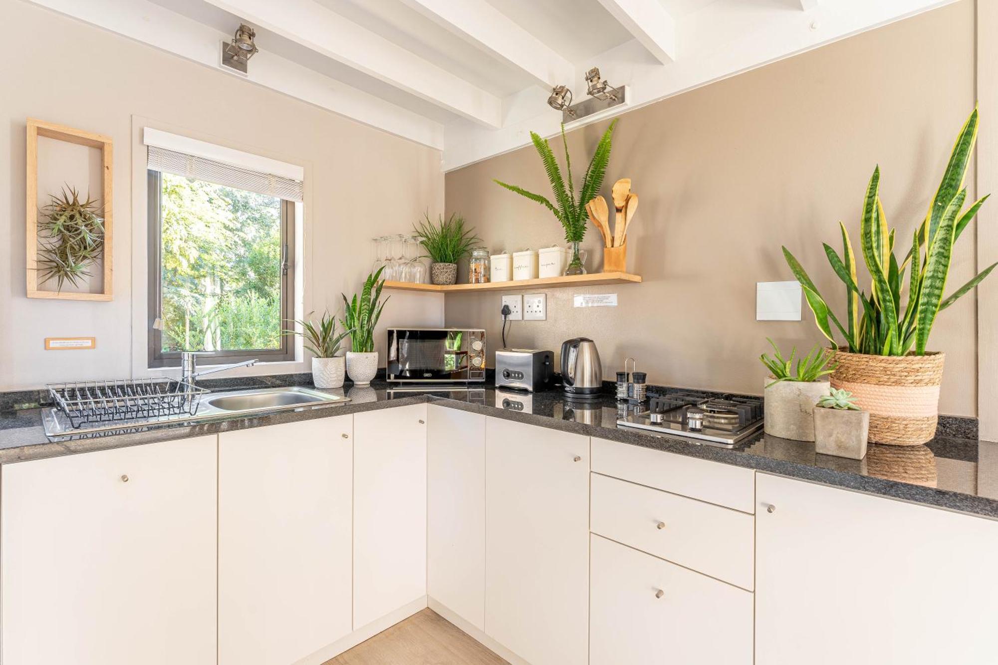 Hotel Woodlands Self Catering Knysna Esterno foto