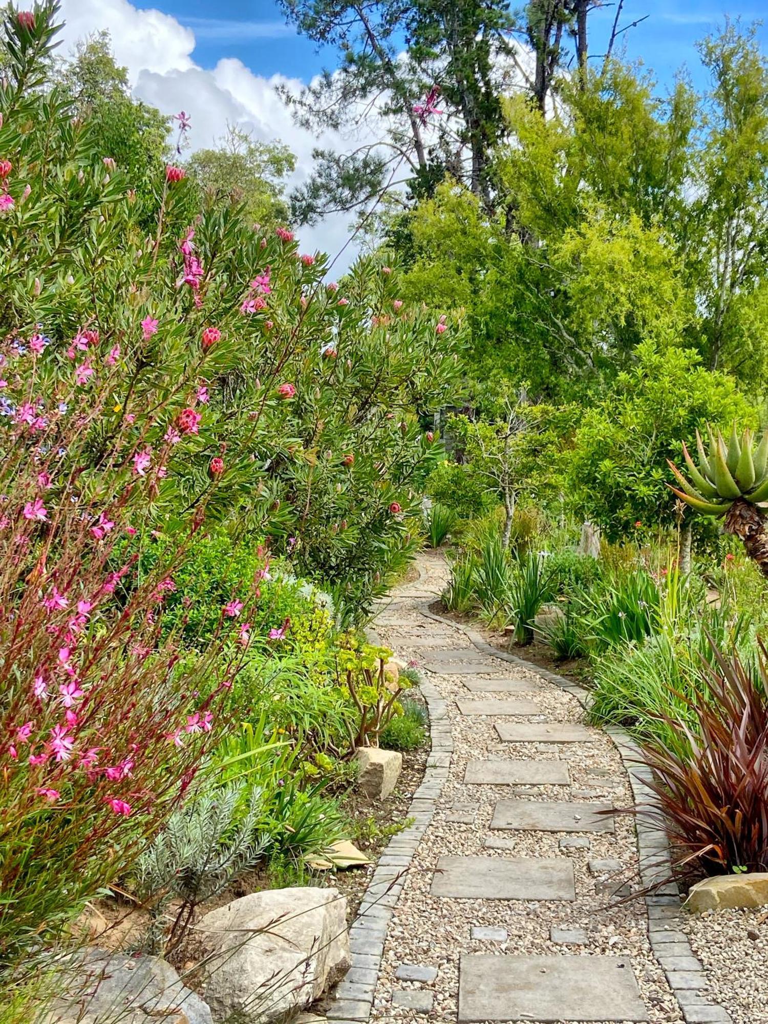 Hotel Woodlands Self Catering Knysna Esterno foto