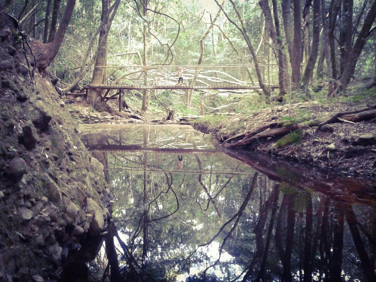 Hotel Woodlands Self Catering Knysna Esterno foto