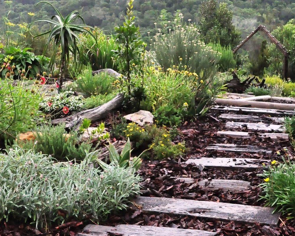 Hotel Woodlands Self Catering Knysna Esterno foto
