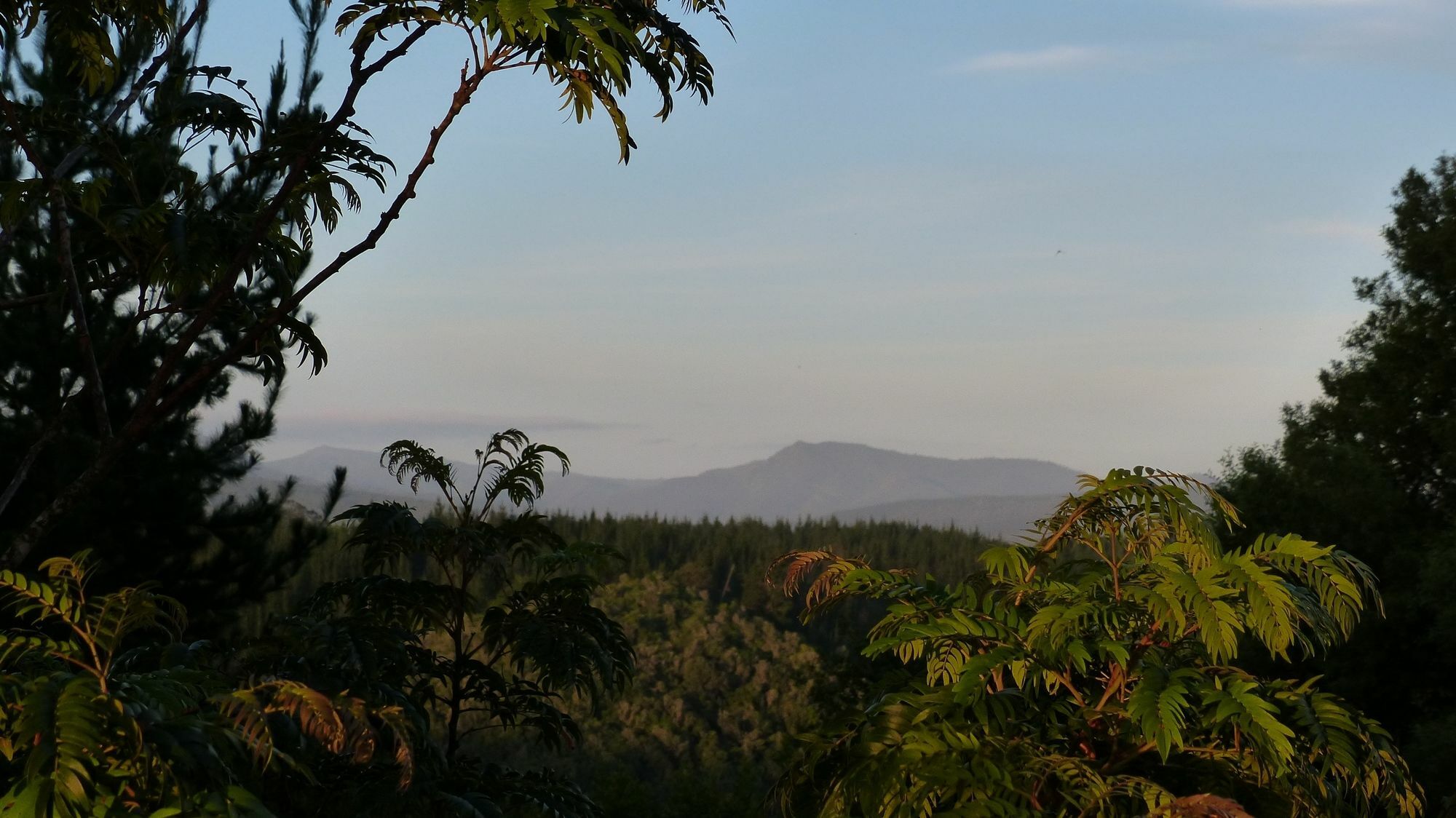 Hotel Woodlands Self Catering Knysna Esterno foto