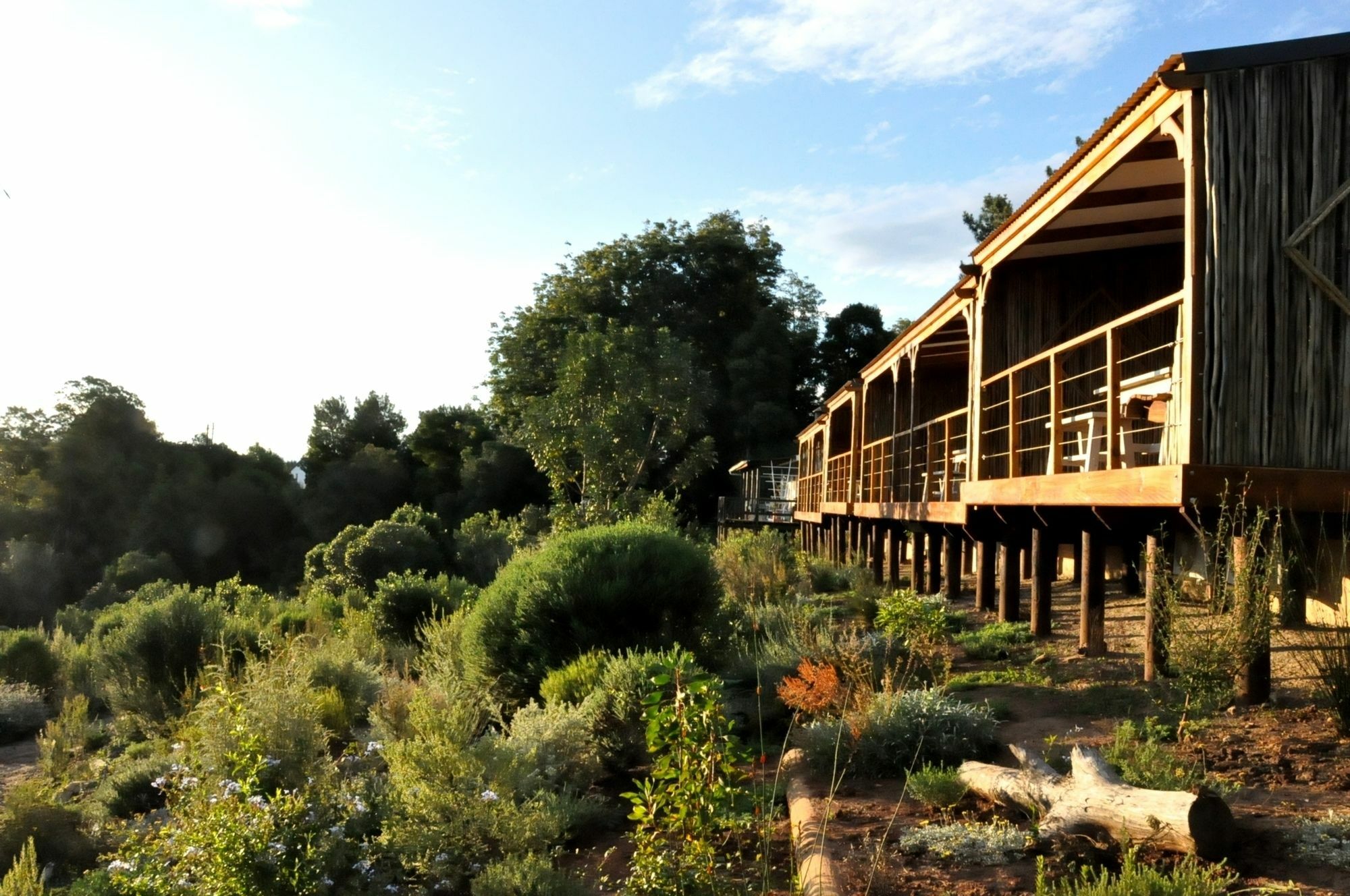 Hotel Woodlands Self Catering Knysna Esterno foto