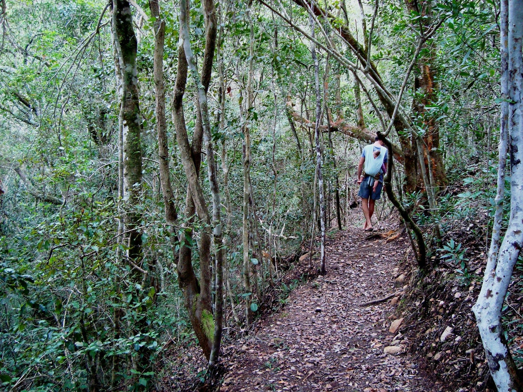 Hotel Woodlands Self Catering Knysna Esterno foto