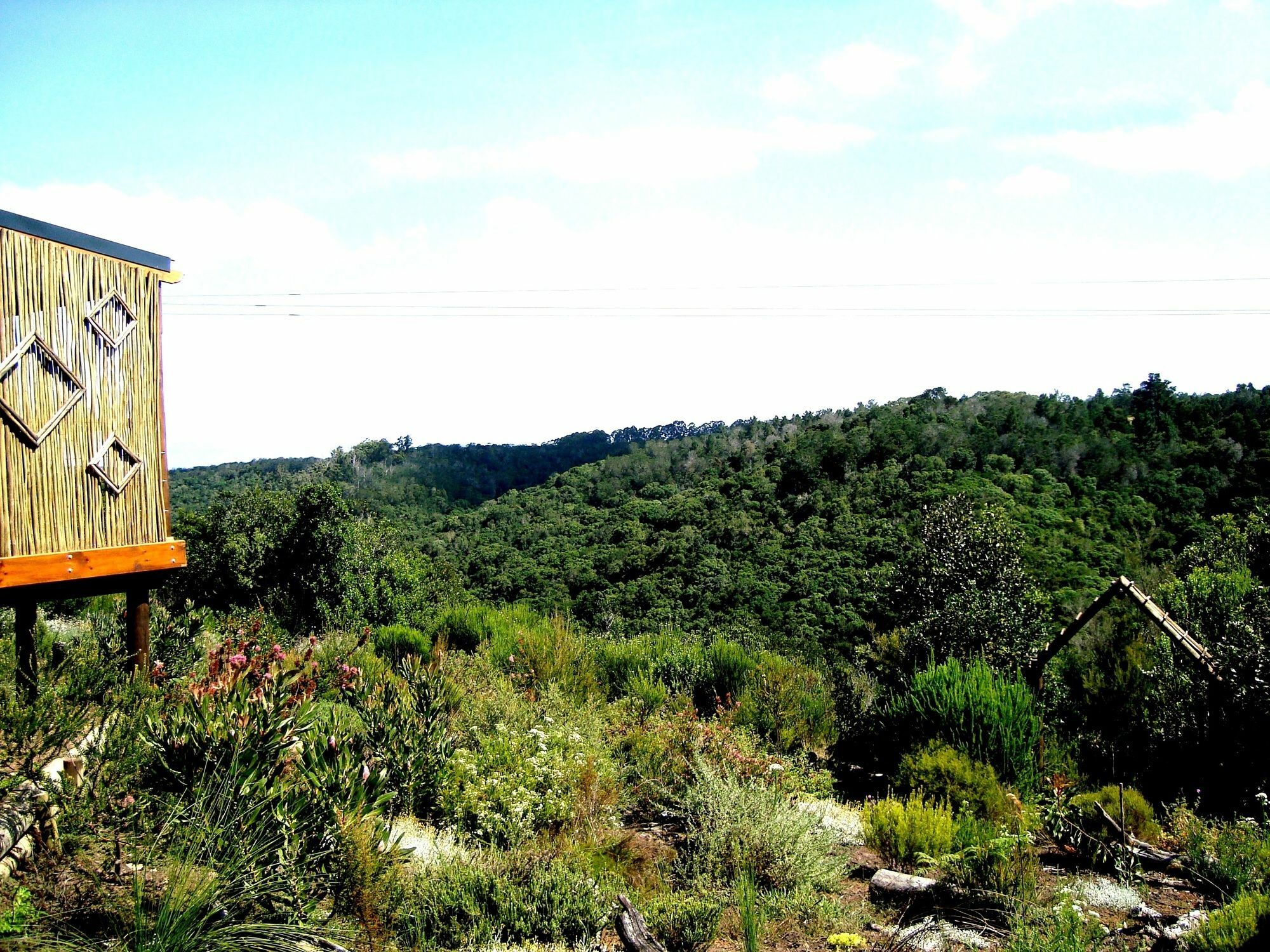 Hotel Woodlands Self Catering Knysna Esterno foto